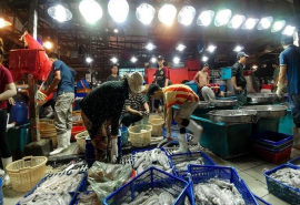 Bình Thuận: Tăng cường quản lý, đảm bảo vệ sinh an toàn thực phẩm trong sản xuất kinh doanh thủy sản