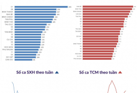 TP. HCM: Số ca mắc tay chân miệng, sốt xuất huyết tăng trở lại