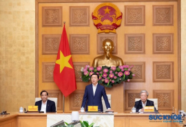 Kết luận của Phó Thủ tướng Chính phủ Trần Hồng Hà tại cuộc làm việc với Hội Giáo dục chăm sóc sức khỏe cộng đồng Việt Nam
