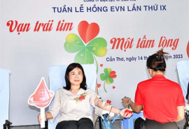 Cần Thơ: Tổ chức chương trình hiến máu tình nguyện tuần lễ hồng EVN lần thứ IX năm 2023