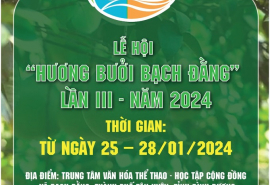 Bình Dương: Lễ hội “Hương bưởi Bạch Đằng” lần III sắp diễn ra