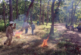 Đắk Lắk: Bảo vệ rừng và phòng cháy, chữa cháy rừng năm 2024