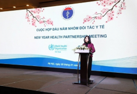Bộ Y tế tổ chức cuộc họp nhóm đối tác y tế