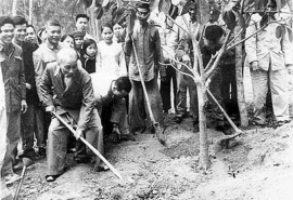 Chủ tịch Hồ Chí Minh với “Tết trồng cây” ích nước, lợi nhà