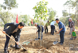 Thừa Thiên Huế: Phát động “Tết trồng cây đời đời nhớ ơn Bác Hồ” Xuân Giáp Thìn 2024