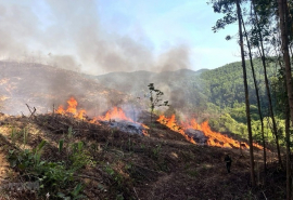 Đắk Nông: Tăng cường công tác phòng cháy, chữa cháy rừng