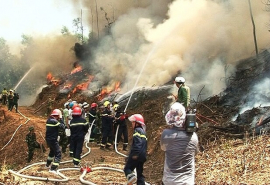 Tăng cường công tác quản lý, bảo vệ rừng, phòng cháy chữa cháy rừng trên địa bàn tỉnh Thừa Thiên Huế