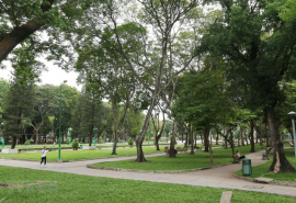Thực trạng về công viên cây xanh trên địa bàn TP. Hồ Chí Minh