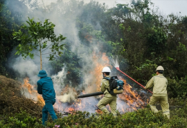 Kon Tum: Quyết liệt triển khai các giải pháp phòng cháy chữa cháy rừng