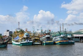 Cà Mau: Tăng cường công tác phòng, chống thiên tai chuyên ngành thủy sản
