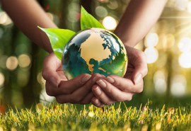 Đắk Lắk: Triển khai các hoạt động hưởng ứng Ngày Môi trường thế giới và Tháng hành động vì môi trường năm 2024