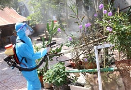 Đắk Lắk: Tổ chức các hoạt động hưởng ứng Ngày ASEAN phòng, chống sốt xuất huyết lần thứ 14