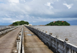 Cà Mau: Tiếp tục chủ động ứng phó với biến đổi khí hậu, tăng cường quản lý tài nguyên và bảo vệ môi trường