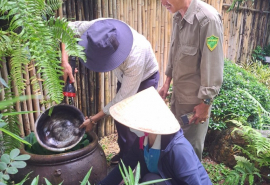 Lâm Đồng: Trung tâm y tế TP. Bảo Lộc triển khai một số nhiệm vụ phòng chống sốt xuất huyết