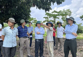 Kon Tum: Kiểm tra tình hình thiệt hại do thiên tai mưa bão gây ra tại huyện Sa Thầy