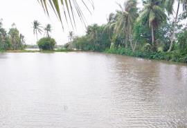 Cà Mau: Chủ động phòng chống, khắc phục hậu quả thiên tai