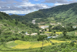 Gia Lai triển khai đề án phát triển giá trị đa dụng của hệ sinh thái rừng
