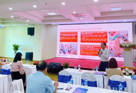 Hội thảo chia sẻ kết quả khảo sát dịch vụ kính thuốc, kính mát trên địa bàn TP. Cần Thơ