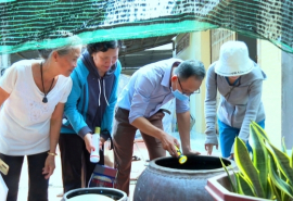 Đồng Tháp: TP. Cao Lãnh ra quân diệt lăng quăng phòng, chống bệnh sốt xuất huyết