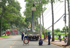 Trà Vinh: Đảm bảo an toàn trong quản lý cây xanh đô thị