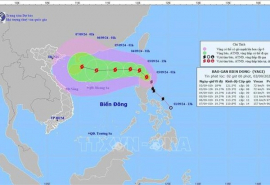 Khẩn trương triển khai ứng phó bão số 3 năm 2024