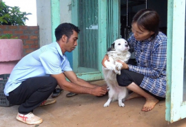 Gia Lai: Huyện Chư Prông chủ động phòng chống bệnh dại