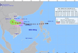 Tin bão khẩn cấp: Cơn bão số 4