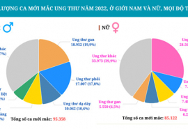 Tầm soát, phát hiện sớm một số loại ung thư thông qua khám sức khỏe người cao tuổi