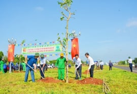 Đắk Lắk: TP. Buôn Ma Thuột sẽ triển khai trồng hơn 5.000 cây xanh đô thị