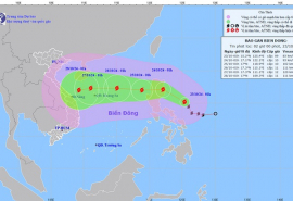 Quảng Ngãi: Khẩn trương triển khai ứng phó mưa lớn và bão Trà Mi có khả năng đi vào Biển Đông