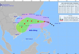 Thủ tướng Chính phủ yêu cầu chủ động ứng phó bão YINXING