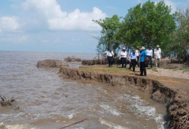 TP. HCM: Đẩy mạnh thực hiện thực hiện các biện pháp phòng chống, ứng phó sạt lở bờ sông, kênh, rạch, bờ biển