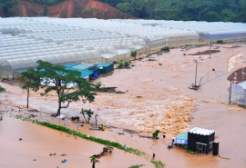 Lâm Đồng: Chủ động ứng phó với thiên tai, mưa lũ tháng cuối năm 2024 và đầu năm 2025