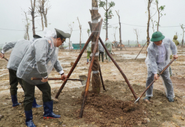 Công an TP. Huế phát động 'Tết trồng cây – Xuân Ất Tỵ” năm 2025