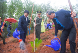 Quảng Nam phát động “Tết trồng cây đời đời nhớ ơn Bác Hồ” xuân Ất Tỵ 2025