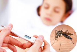 Lâm Đồng: Tăng cường phòng, chống bệnh sốt xuất huyết dengue