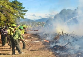 Gia Lai: Chủ động phương châm “4 tại chỗ' trong công tác phòng cháy, chữa cháy rừng