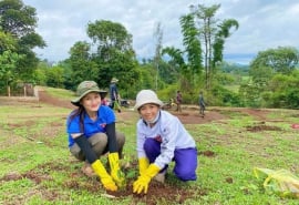 Gia Lai: Huy động ít nhất 5 triệu cây giống phục vụ cho kế hoạch trồng cây xanh năm 2025