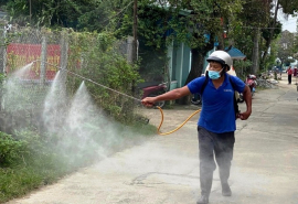 Quảng Nam: Tăng cường công tác phòng, chống dịch bệnh sốt xuất huyết