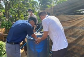 Lâm Đồng: Tăng cường triển khai các biện pháp phòng, chống bệnh sốt xuất huyết
