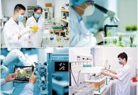 TP. HCM triển khai chương trình phát triển khoa học công nghệ tại khu công nghệ cao giai đoạn 2025 - 2030