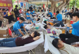 Long An: Gần 260 đơn vị máu được hiến tặng