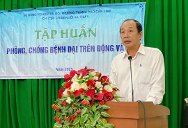 Cần Thơ tổ chức lớp tập huấn phòng, chống bệnh dại năm 2025