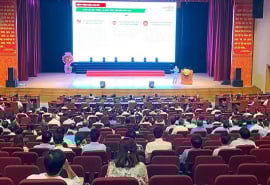 Bình Định ứng dụng AI trong quản lý y tế và triển khai bệnh án điện tử