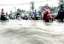 TP. HCM: Tăng cường công tác phòng chống thiên tai và tìm kiếm cứu nạn năm 2025