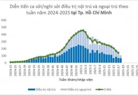 TP. HCM: Số ca mắc bệnh sốt xuất huyết và bệnh sởi đều giảm