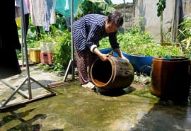 Long An siết chặt phòng, chống sốt xuất huyết, không chủ quan, lơ là, mất cảnh giác