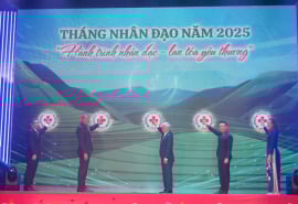 TP. HCM khởi động Tháng Nhân đạo 2025: Lan tỏa yêu thương từ hành trình nhân ái