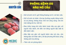 Những điều cần biết về bệnh não mô cầu