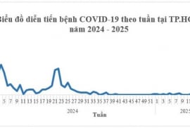 TP. HCM: Số ca COVID-19 tăng nhẹ trong 4 tuần qua, không ghi nhận ca bệnh nặng